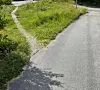 A split paved path curves around a grassy verge in a sunny green outdoor area.