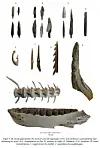 Arrowheads, fish hook, harpoons, charred wooden post, and bones from tuna and orca arranged against a white backdrop.