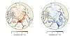 Maps
