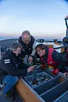Three people lean over trays of marine samples on a boat deck at sunset.