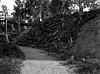 Large numbers of logs excavated from the mound lie piled together.