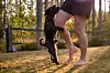 Miniature black schnauzer jumping up on a person’s leg in a park.