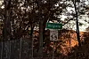 A 55 mph speed limit sign in Virginia beside trees and a fence at sunset.