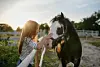 A girl petting a horse.