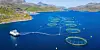 Aerial view of offshore fish farm cages in calm blue water.