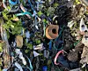 Scattered plastic litter and debris on a muddy forest floor with leaves and twigs.