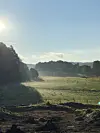 Sunlit misty valley with grazing animals, wooded hills and rough ground in the foreground.