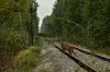 A roe deer on some train tracks.