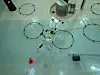 Researchers fitting sensors into circular fish tanks in a hatchery-style facility.