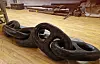 Part of an anchor chain lying on a floor