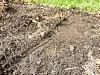A hole in the dirt.