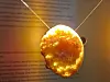 A close-up of a golden, glossy rusk in front of a blurred page of text.