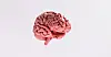 Pink anatomical model of a human brain isolated against a pale background.