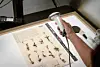 A hand uses a scanner over a sheet of preserved herbarium specimens.
