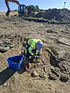 An archaeologist bends over one of the skeletons being excavated in the field.