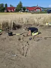 The farm can be seen in the background, with the grain field - and in the foreground we see an archaeologist excavating a skeleton just beneath the surface.