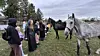 A group of people stand outdoors with three horses