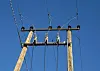 Wooden power poles and overhead wires silhouetted against a clear blue sky.