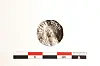 Image of a coin.