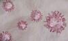 Illustration of pink, spiky immune cells on a pale background, with one larger cell at right.