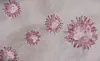 Illustration of pink, spiky immune cells on a pale background, with one larger cell at right.