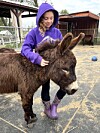 Barn i lilla hettegenser klapper et brunt, langhåret mini-esel utendørs.