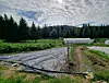 Vegetable beds and greenhouses on the Røed family farm beneath a cloudy sky