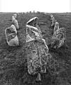Weathered standing stones arranged in rows across a grassy field in a black-and-white image.