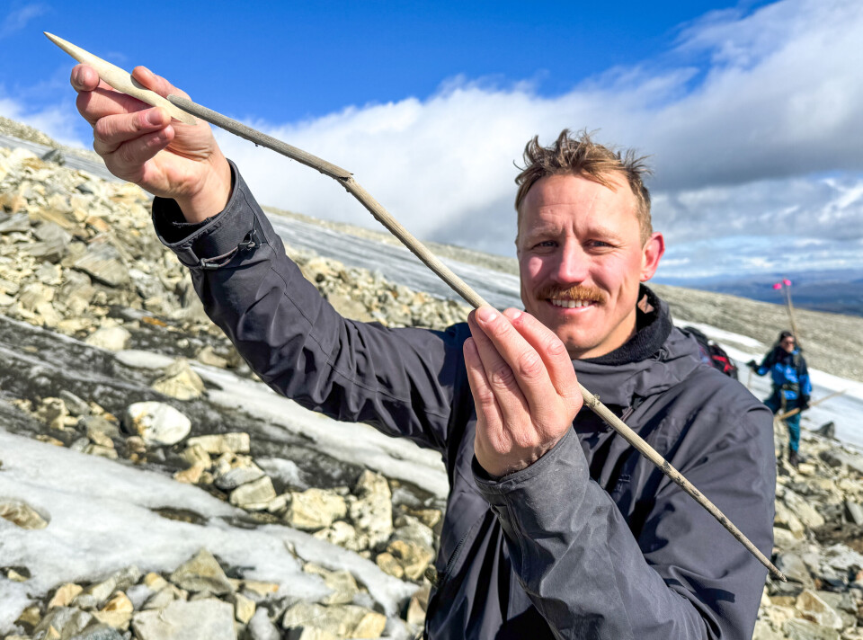 Kjetil Loftsgarden holds a complete arrow approximately one metre long.