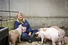 Inger Lise Andersen sitting in a barn with several pigs around her.
