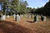 Weathered standing stones arranged across a leaf-covered clearing surrounded by woodland.