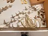 Whale ribs and other bones arranged on a laboratory work surface for study
