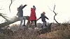 Four children playing and balancing on a tree trunk in an autumn forest.