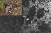 Composite image showing a moose and thermal detections in the Finnskogen forest.