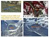 Several photos and maps combines in an illustration