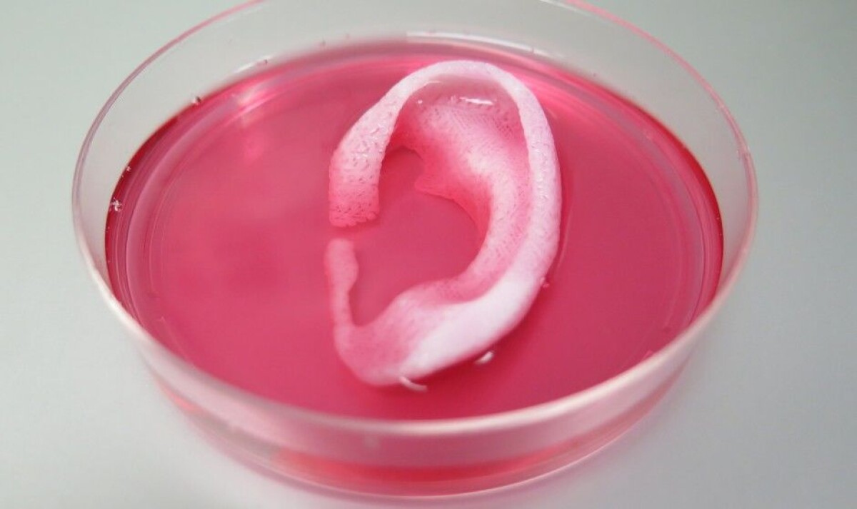 洋書 Cell and Organ Printing 3-D printed organs may solve organ donation shortages
