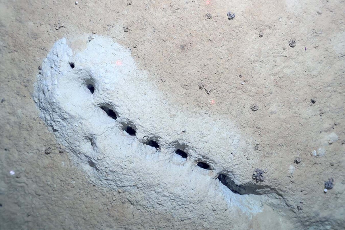 Scientists have once again found mysterious holes in the deep sea